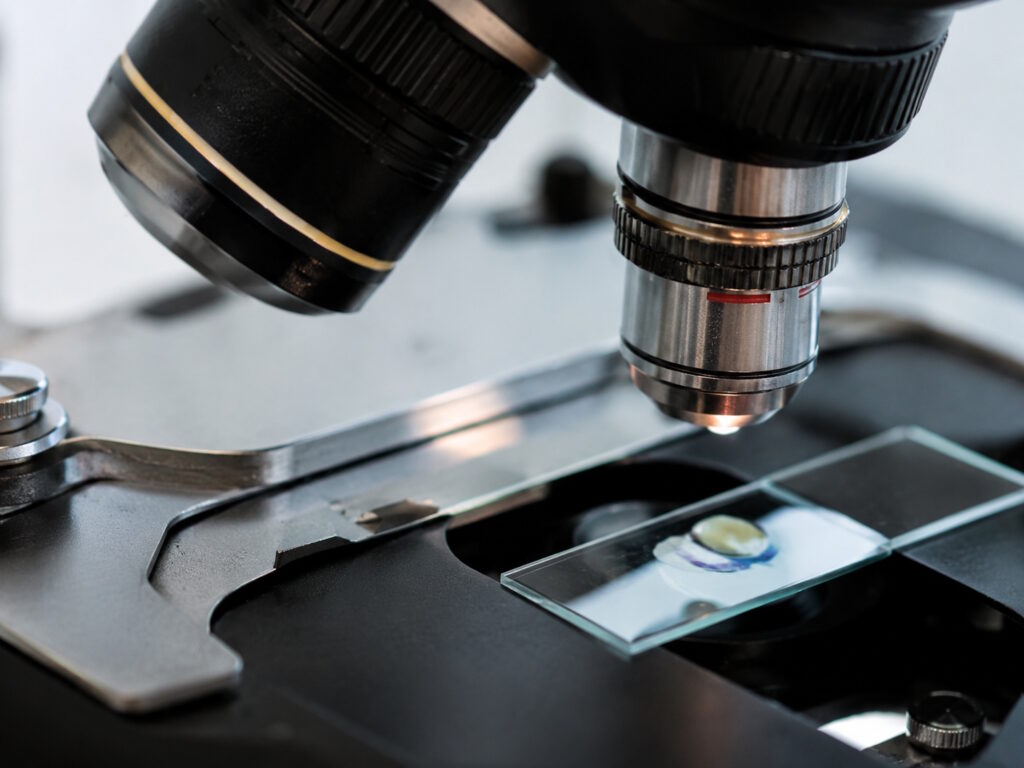 microscope slide